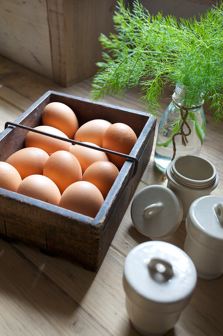 Eier in Holzkiste mit geschnittenem Fenchel und Keramiktöpfen Kent, Großbritannien