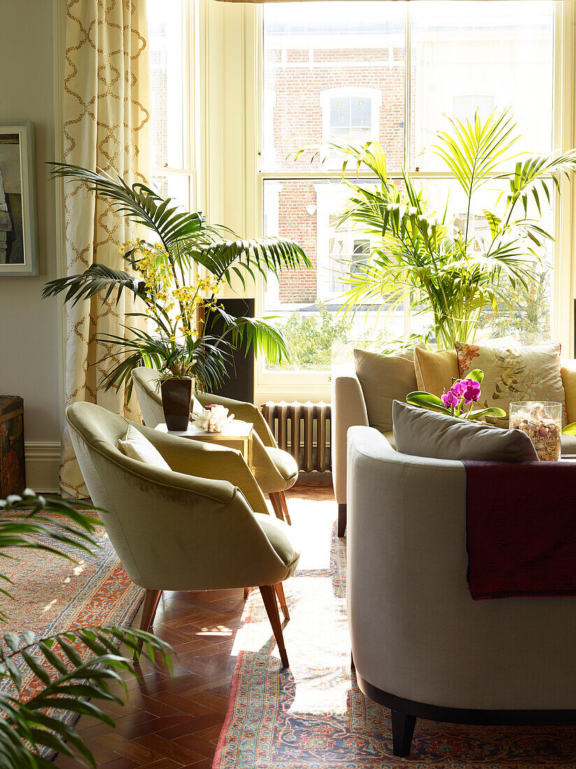 Pair of gold armchairs with sofa and houseplants in London townhouse apartment, UK