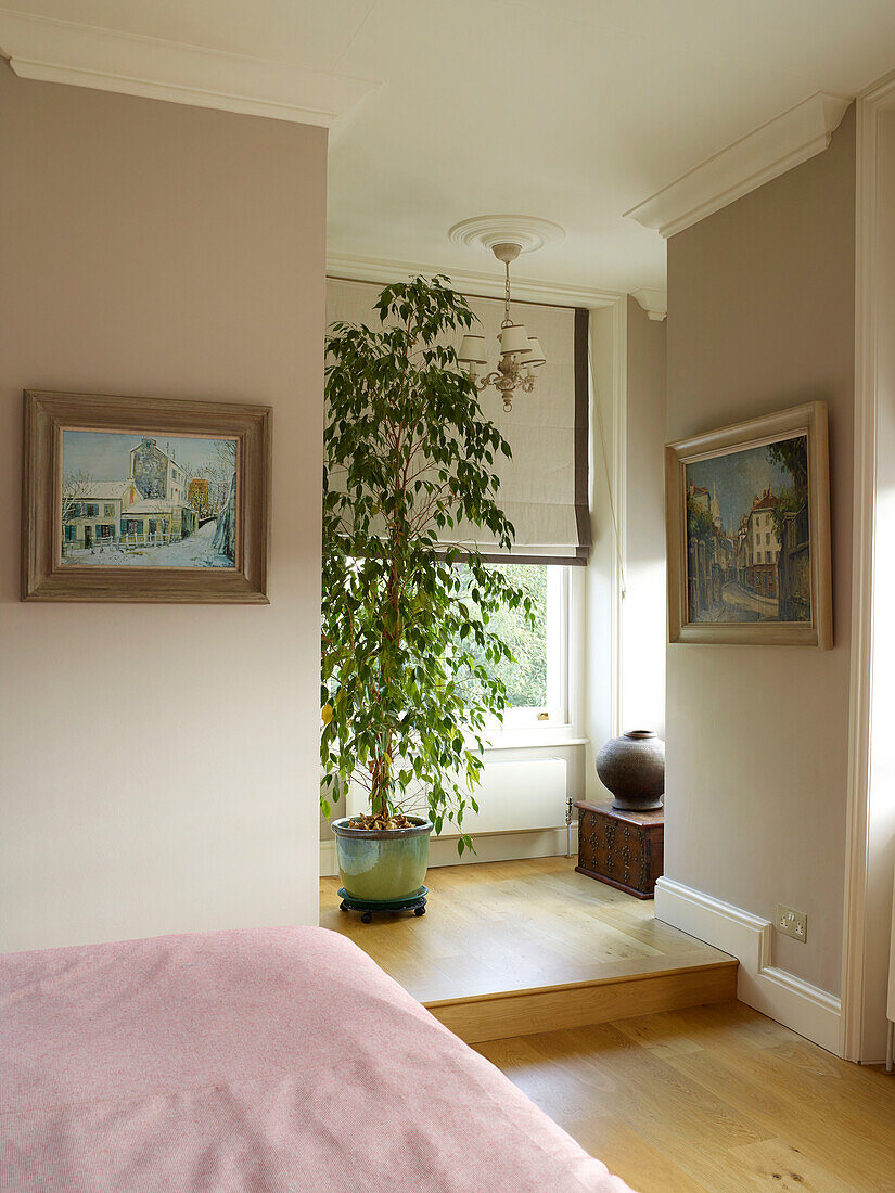 Zimmerpflanze in einem zweistöckigen Schlafzimmer mit rosa Tagesdecke in einem Londoner Stadthaus, UK