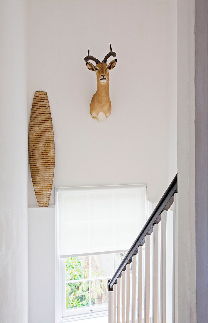 Hunting trophy hangs in stairway of London home UK