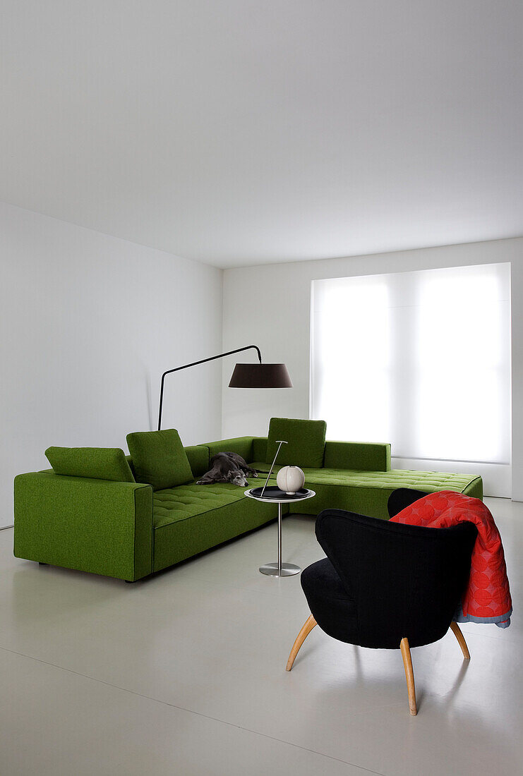 Lindgrünes Ecksofa mit kleinem schwarzen Stuhl in weißem Interieur einer modernen Wohnung in London, England, UK