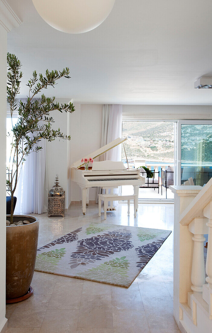 Flügel und getöpferter Olivenbaum in einem geräumigen Wohnzimmer, Ferienvilla, Republik Türkei