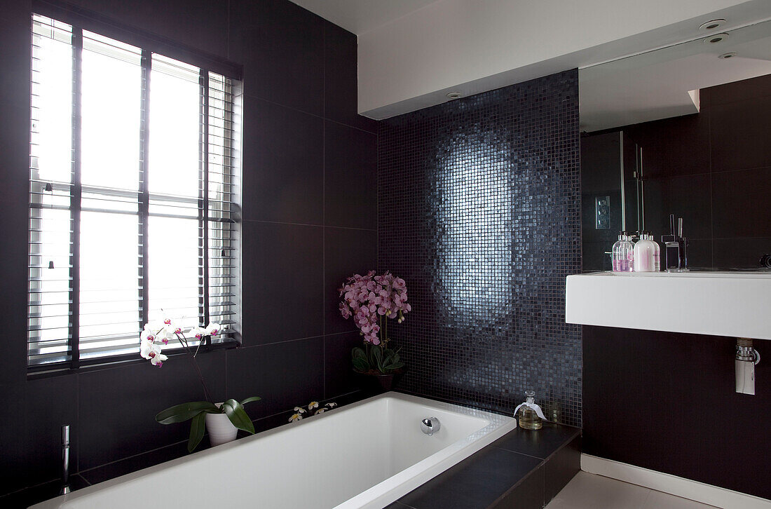 Zimmerpflanzen auf einer versenkten Badewanneneinfassung in einem mit schwarzem Mosaik gefliesten Badezimmer eines modernen Londoner Hauses, UK