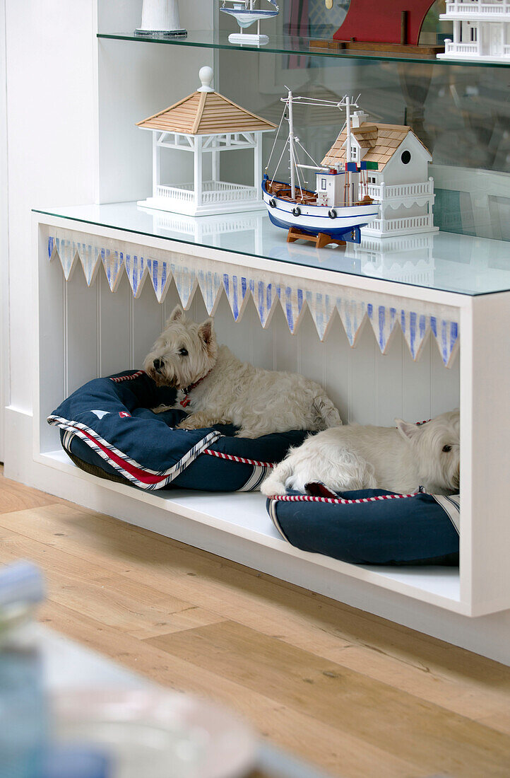 Eingebaute Hundebetten mit weißen Terriern unter Regalen mit nautischen Gegenständen in einem Haus in Dulwich London England UK