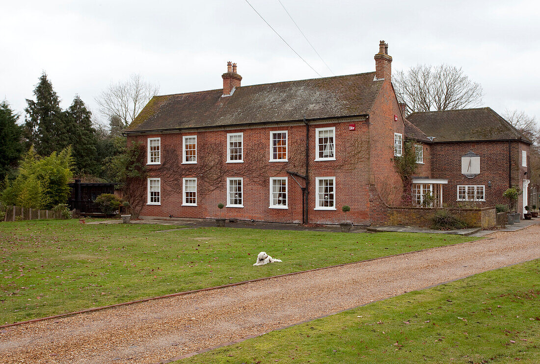 Hund auf Rasen mit Schotterauffahrt zu gemauertem Bauernhaus Surrey, England, UK