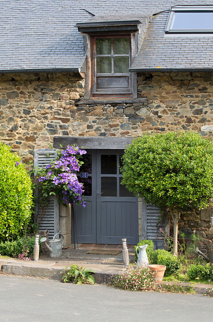 Blühende Pflanzen und bemalte Tür mit verwittertem Fensterrahmen an der Steinfassade eines französischen Bauernhauses