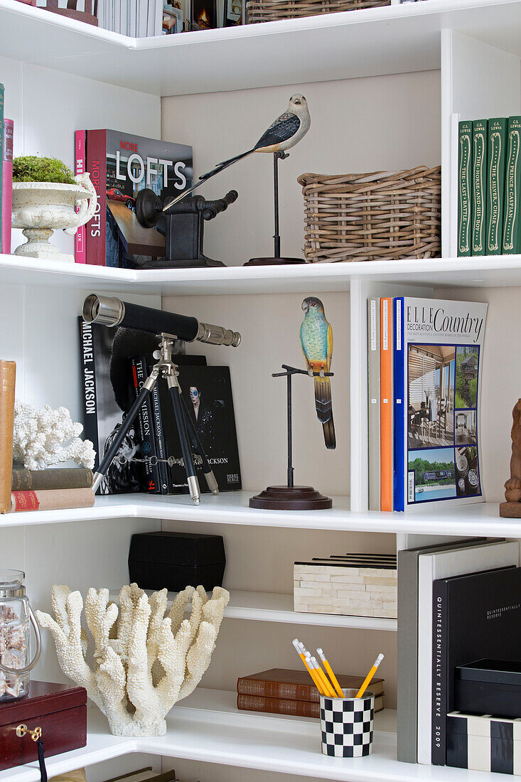 Teleskopstativ und Bücher mit Papageien auf Bücherregalen in einem Stadthaus in Twickenham, Middlesex, England, UK