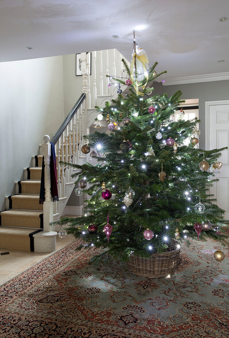 Large Christmas tree on patterned rug in hallway of Chobham home   Surrey   England   UK