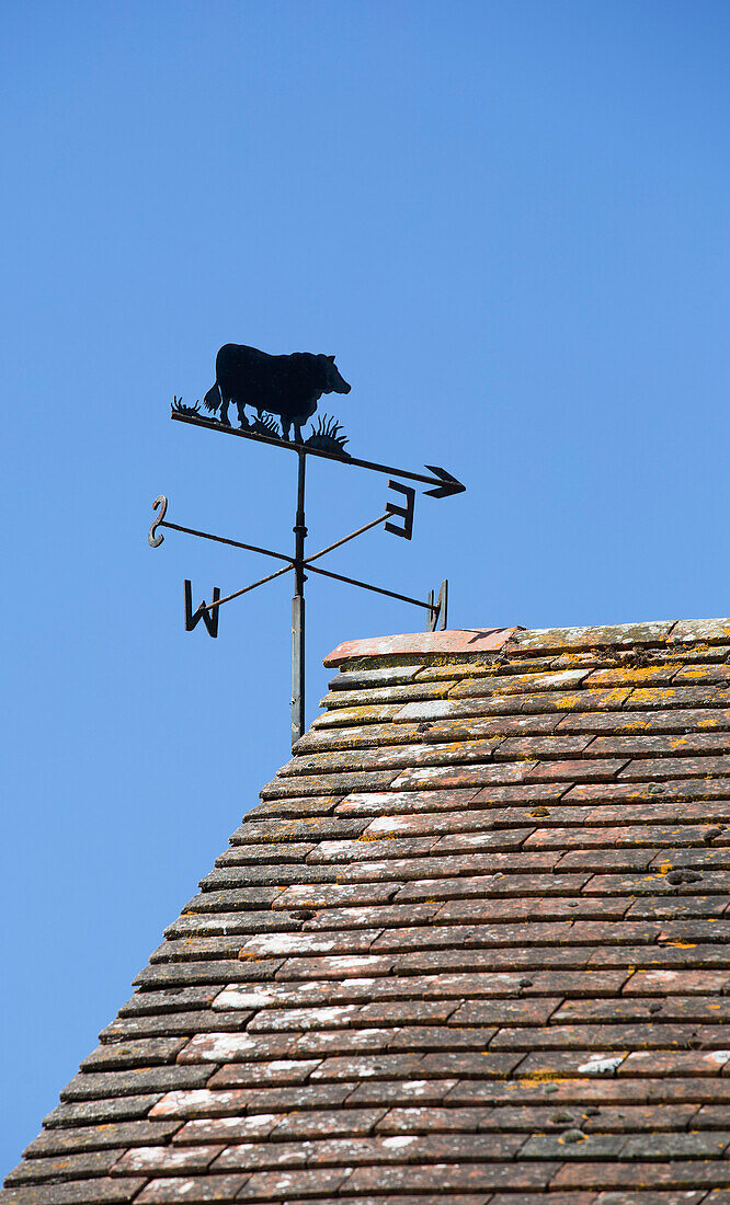 Weathervane on tiled roof against blue sky in Warminster  Wiltshire  England  UK