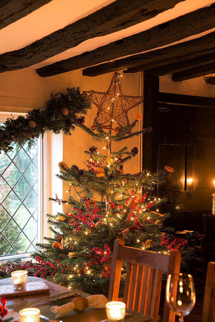 Christmas tree at leaded window in dining room of Kent home England UK