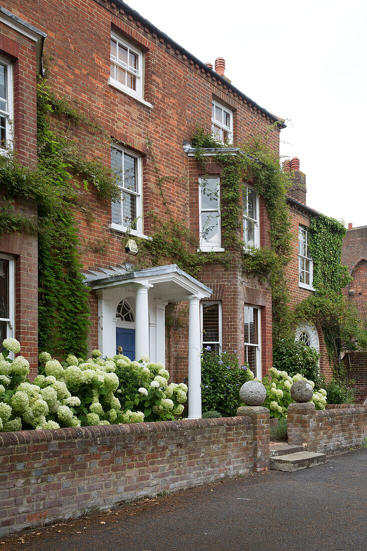 Kletterpflanzen an der Backsteinfassade eines Hauses in Arundel, West Sussex, England UK