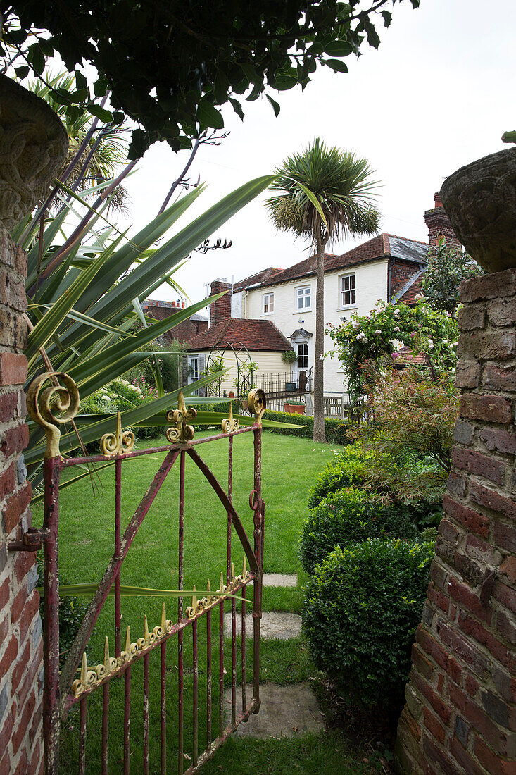 View through rusty gate to palm tree in Arundel garden West Sussex England UK