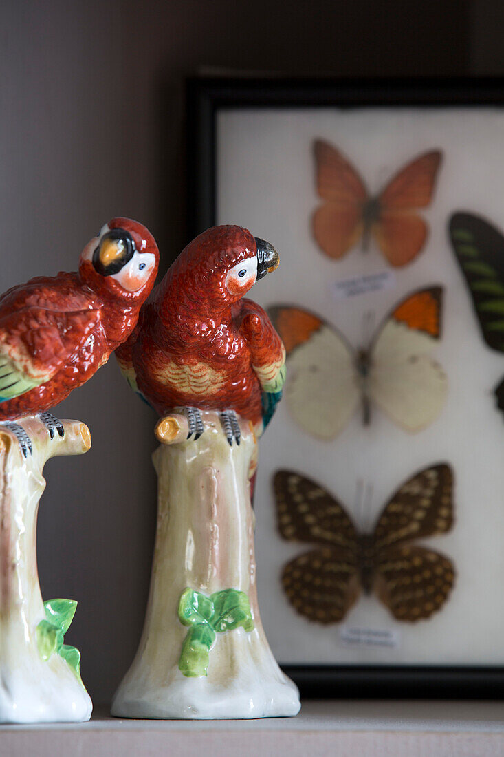 Parrot ornaments with display butterflies in Sussex home England UK