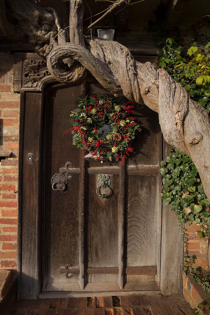Knorriger Baumstamm und hölzerne Eingangstür eines Bauernhauses mit Fachwerk in Hampshire, England, Vereinigtes Königreich