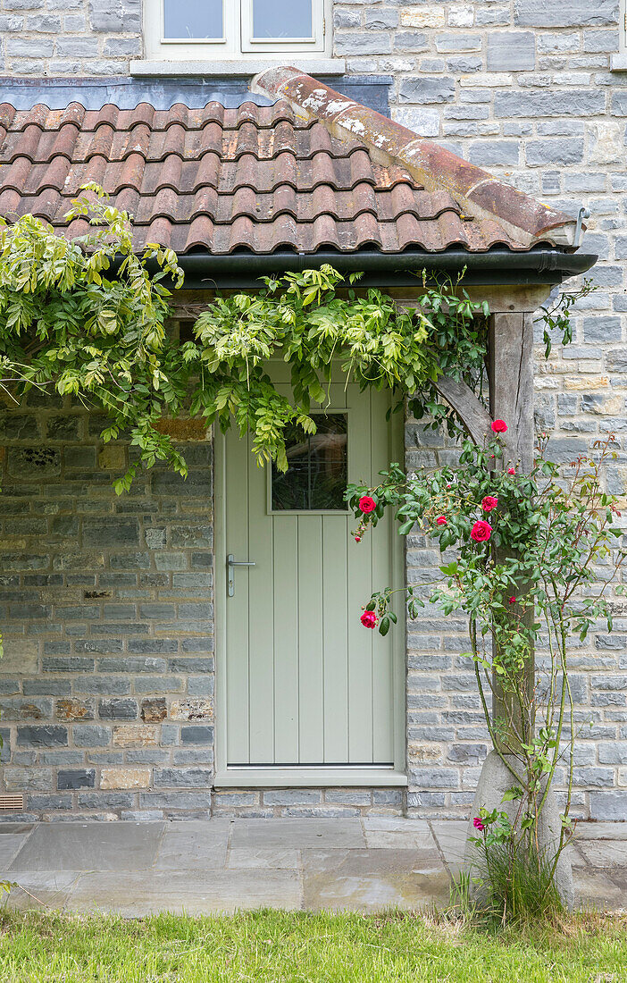 Kletterrose auf der gefliesten Veranda eines Bauernhauses in Somerset, UK