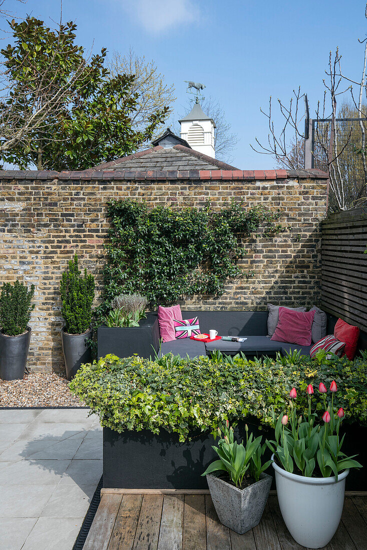 Graue Sitzgelegenheit mit Tulpen im Hinterhof eines Londoner Hauses UK