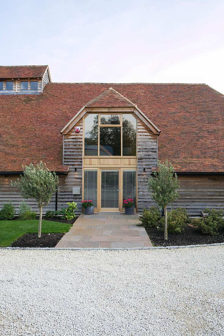 Gravel driveway with olive trees at entrance to barn conversion in Hampshire UK