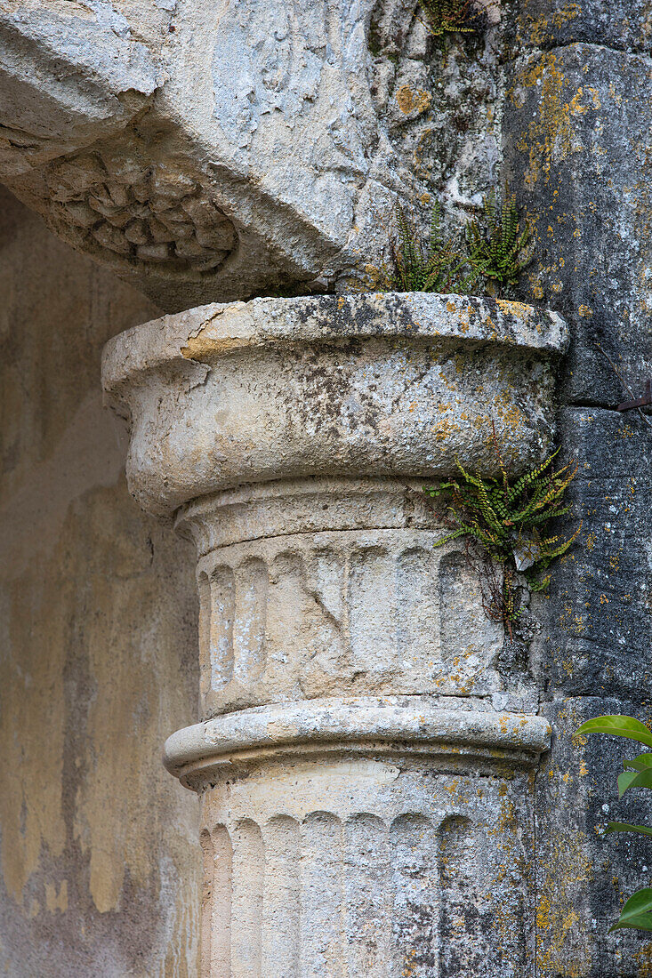 Selbstblühende Pflanzen wachsen in den Säulen des französischen Chateau Lot et Garonne aus dem 18