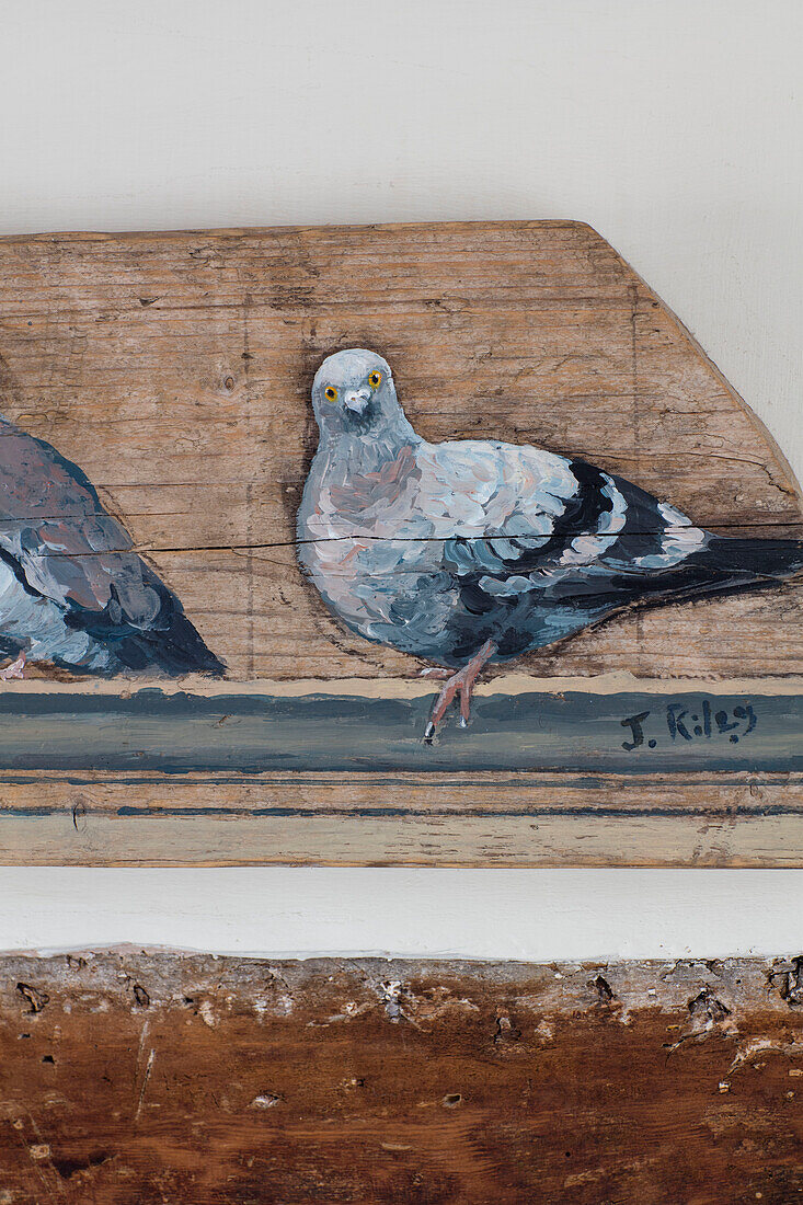 Pigeon on wooden board in Grade II listed Georgian farmhouse Somerset, UK