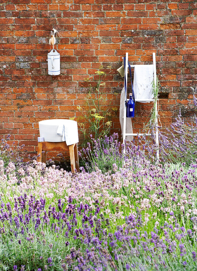 Waschbecken und Leiter im ummauerten Lavendelgarten Isle of Wight, UK