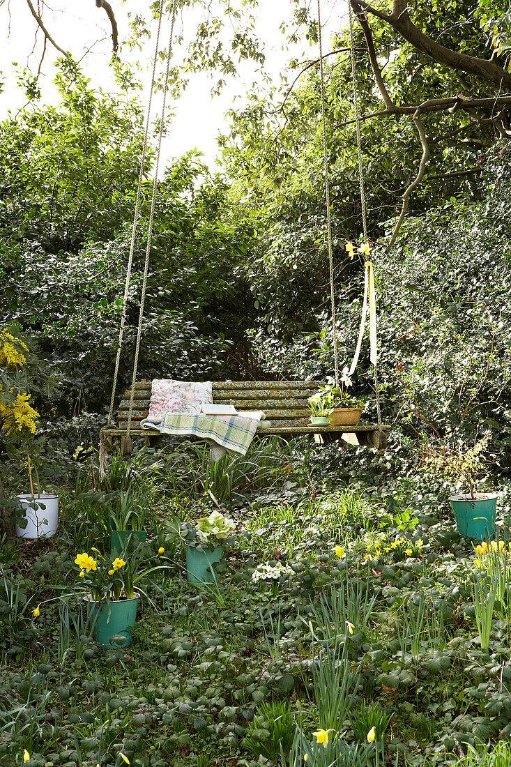 Sonnenbeschienener Schaukelsitz und Narzissen Isle of Wight, UK