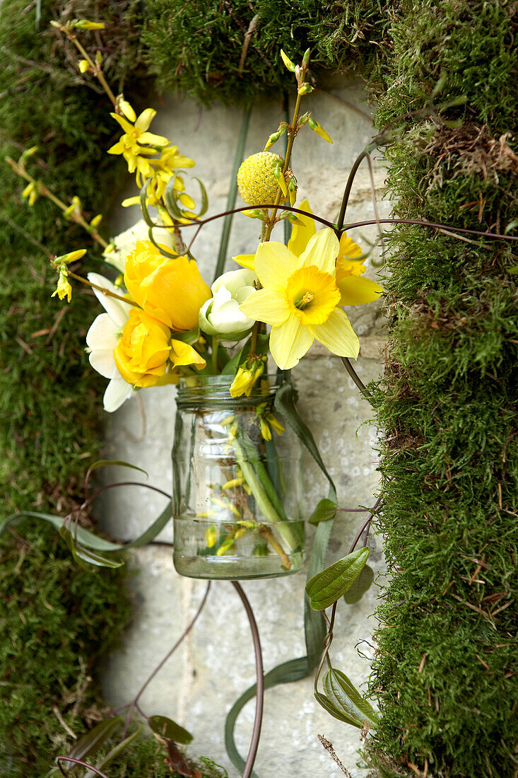 Yellow spring flowers in moss picture frame Isle of Wight, UK