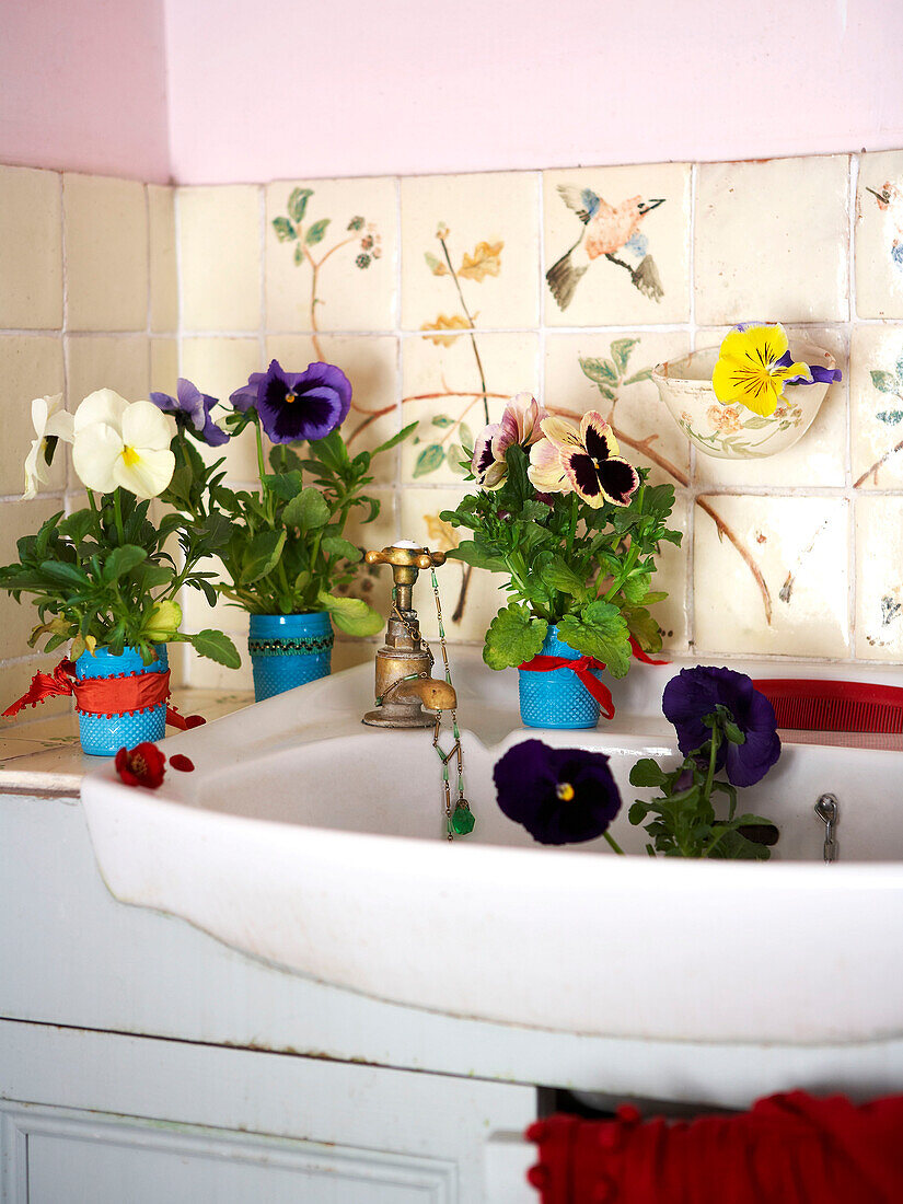 Pansies beside washbasin in Isle of Wight home UK