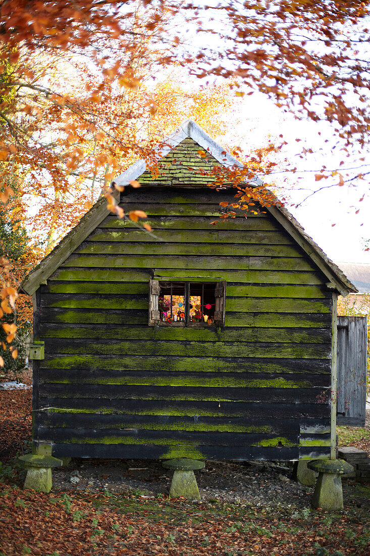 Rustikale Holzhütte in herbstlicher Waldlandschaft mit gefallenen Blättern UK
