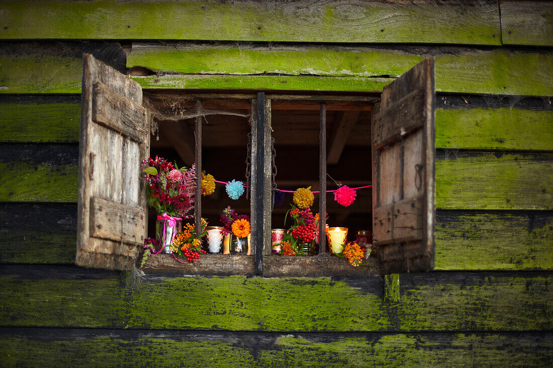 Offene Fensterläden einer rustikalen Holzhütte mit Schnittblumen im Herbst UK