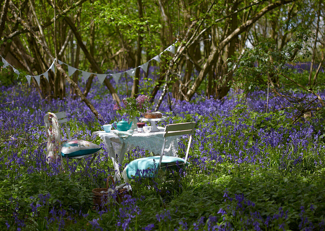 Tisch und Stühle für ein Picknick mit Wimpel in einem Blaubeerwald