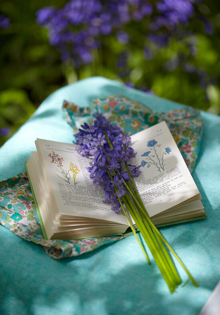 Offenes Buch und Blauglocken (Hyacinthoides non-scripta) auf dem Tisch im Frühling