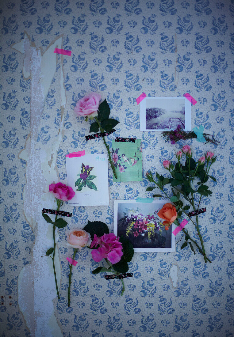 Vintage Blooms - photos and flowers taped to a wall