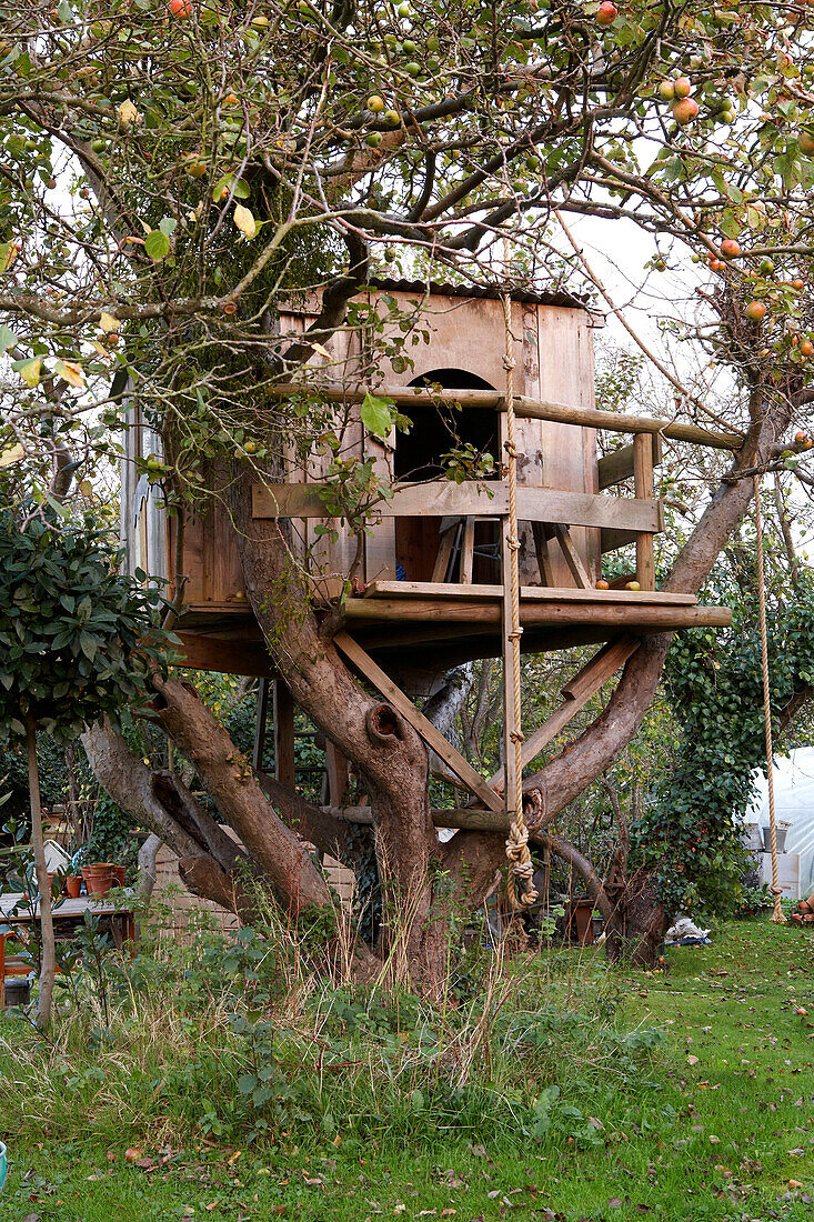 Baumhaus im Apfelbaum im Garten auf der Isle of Wight, UK