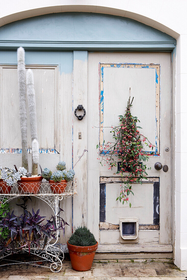 Topfpflanzen auf schmiedeeisernem Metall-Pflanzenständer an der verwitterten Eingangstür eines Hauses auf der Isle of Wight, Vereinigtes Königreich