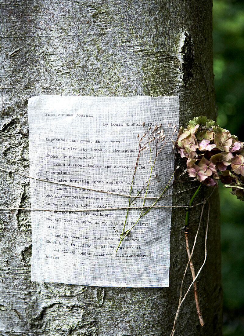 Getrocknete Blumen und ein mit Schnur gebundener Brief an einem Baumstamm auf der Isle of Wight, Vereinigtes Königreich