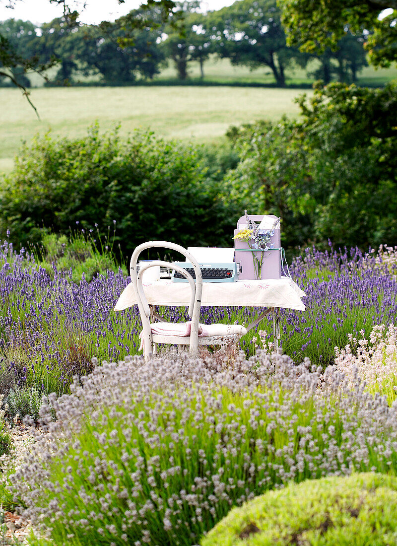 Typewriter on table in lavender Isle of Wight, UK