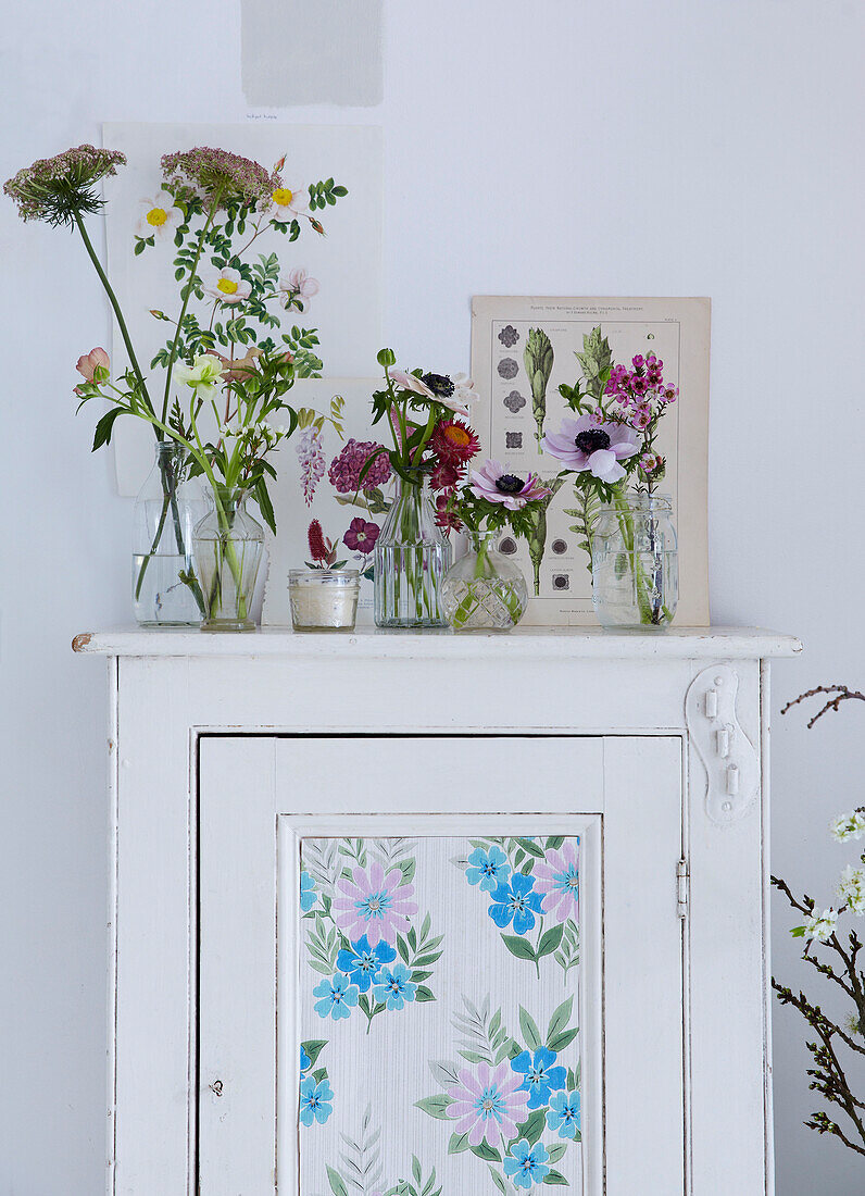 White cabinet with floral wallpaper insert with botanical prints and fresh flowers in glass vases