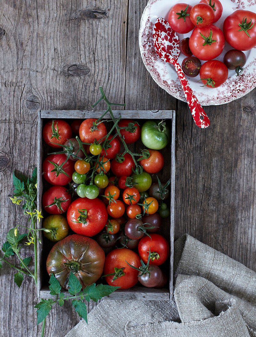 Gemischte Tomaten in einer Holzkiste