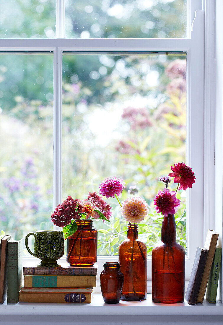 Brown glass vases in a row by a window filled with Dahlias