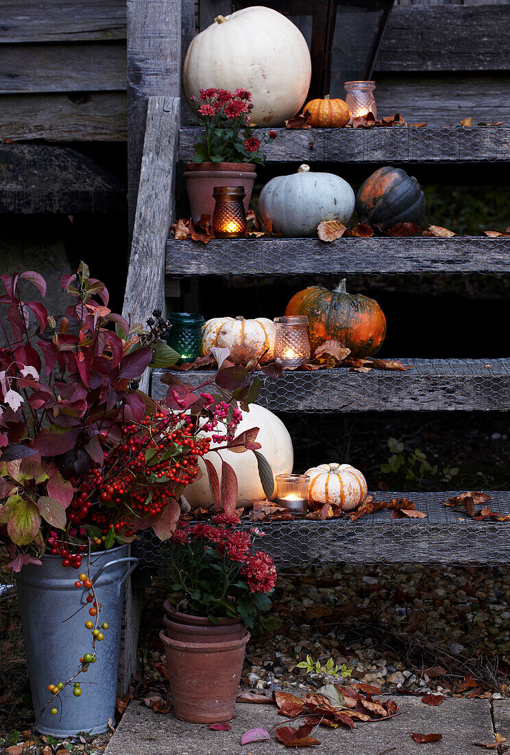 Rustikaler Gartenschuppen mit Stufen, gefüllt mit herbstlichen Produkten wie Kürbissen und Äpfeln und Kerzen