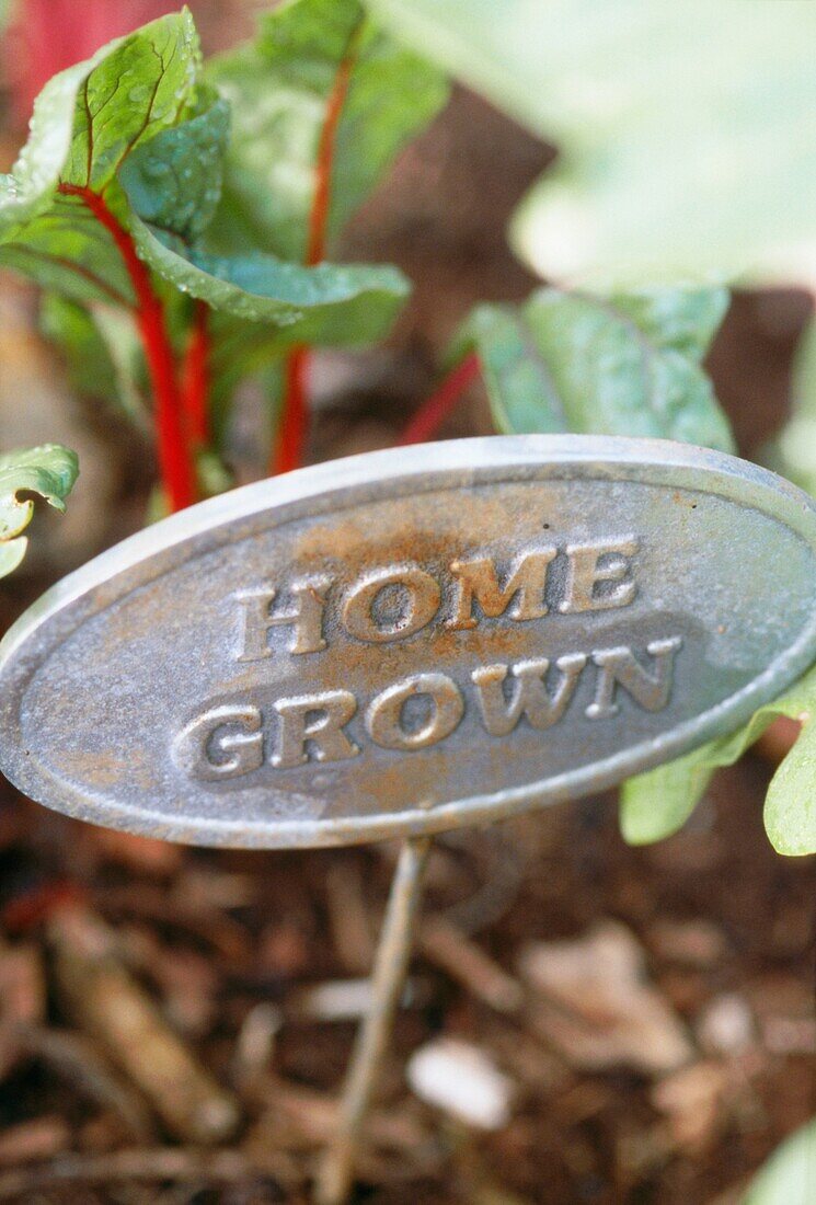 Home grown label in a garden vegetable patch