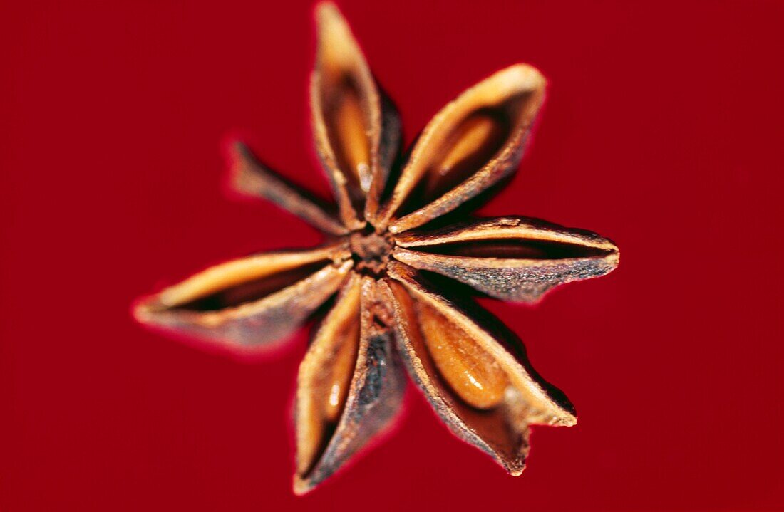 Close up of star anise on red background