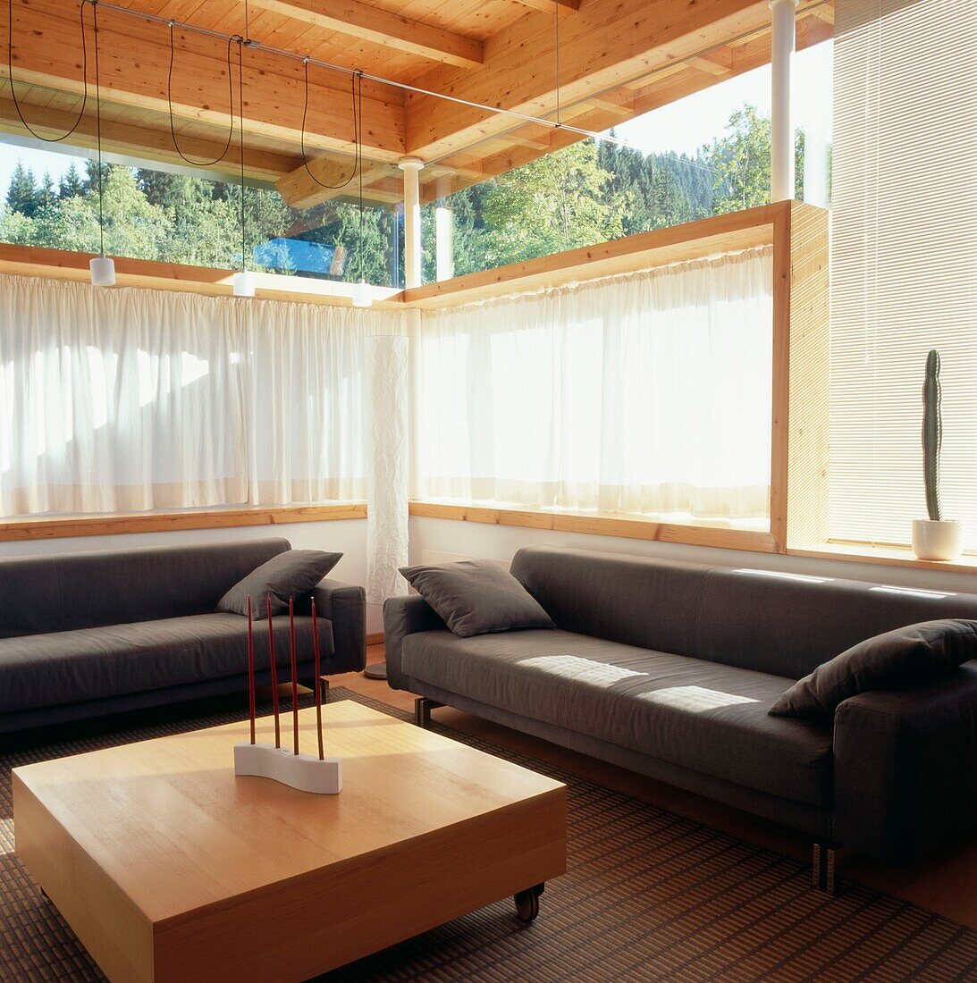 Zeitgenössisches Wohnzimmer mit großen Fenstern, zwei grauen Sofas und einem Couchtisch