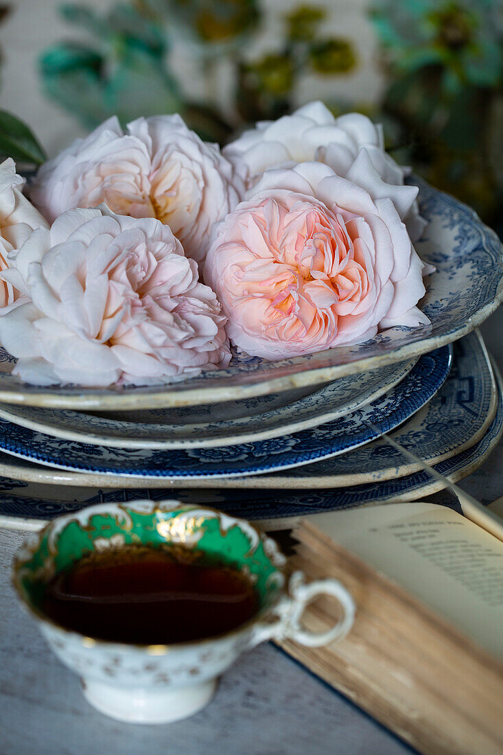 Rosen und alte Teetasse
