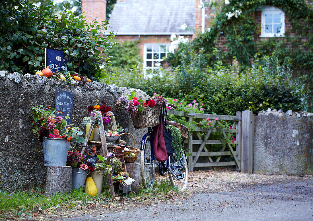 Bicycle, stall with pumpkins and flowers