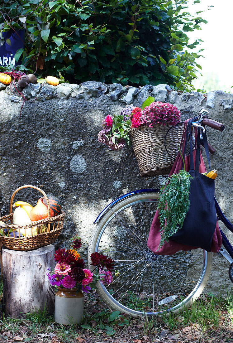 Fahrrad, Fahrradkorb mit Blumen und Herbstgemüse neben Steinmauer