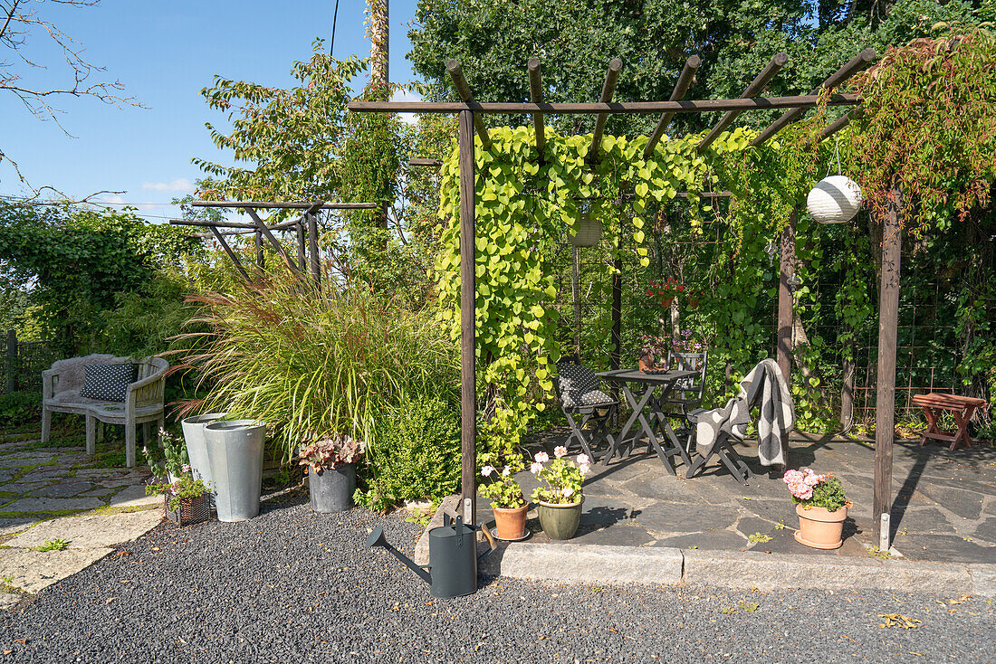 Terrace corner with pergola, plants and seating area in summer