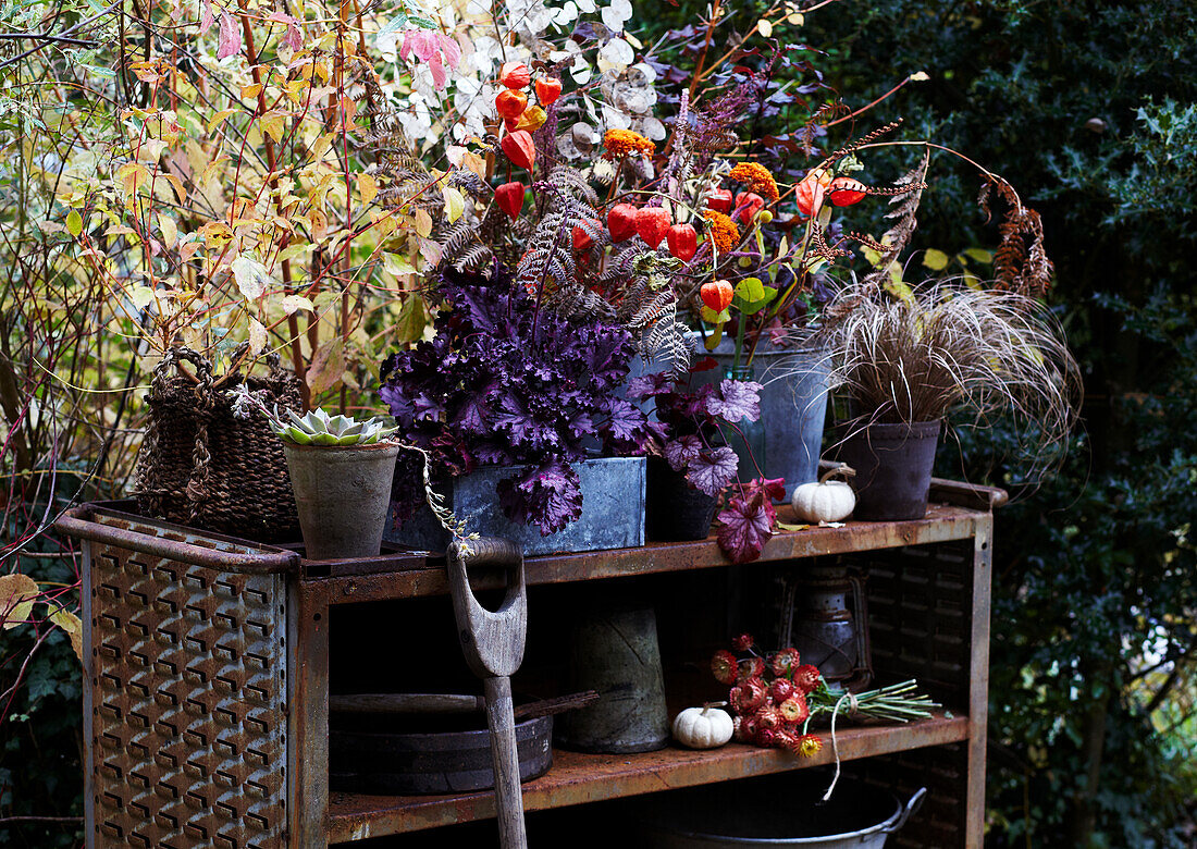 Autumn decoration with flowers, plants and grasses on outdoor shelf