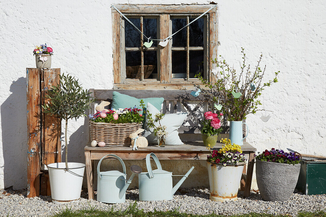 Wooden bench with spring flowers and Easter decoration, watering cans and plant pots in front of it