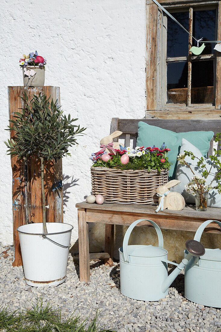 Wooden bench with spring flowers and Easter decoration, in front watering cans and small olive trees